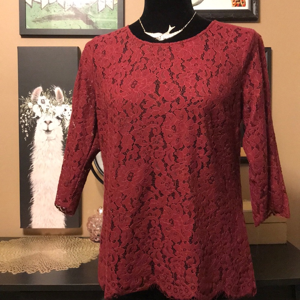 The Limited Lace Top